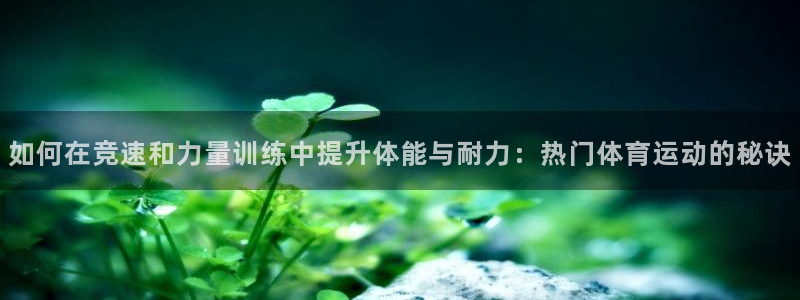 哈哈体育十年：如何在竞速和力量训练中提升体能与耐力：热门体育运动的秘诀
